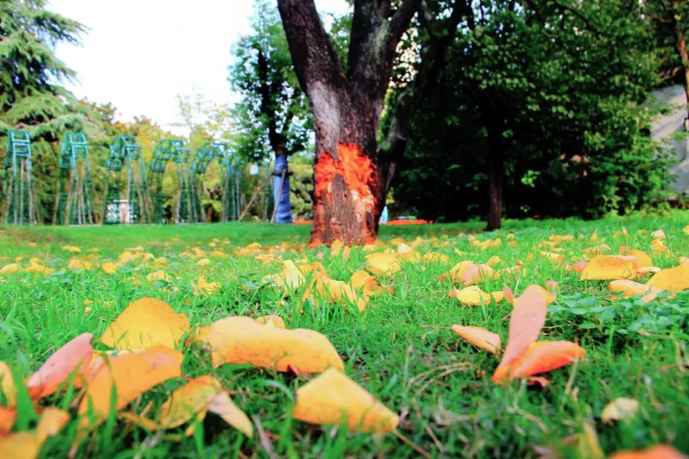 640 (1).jpg undefined