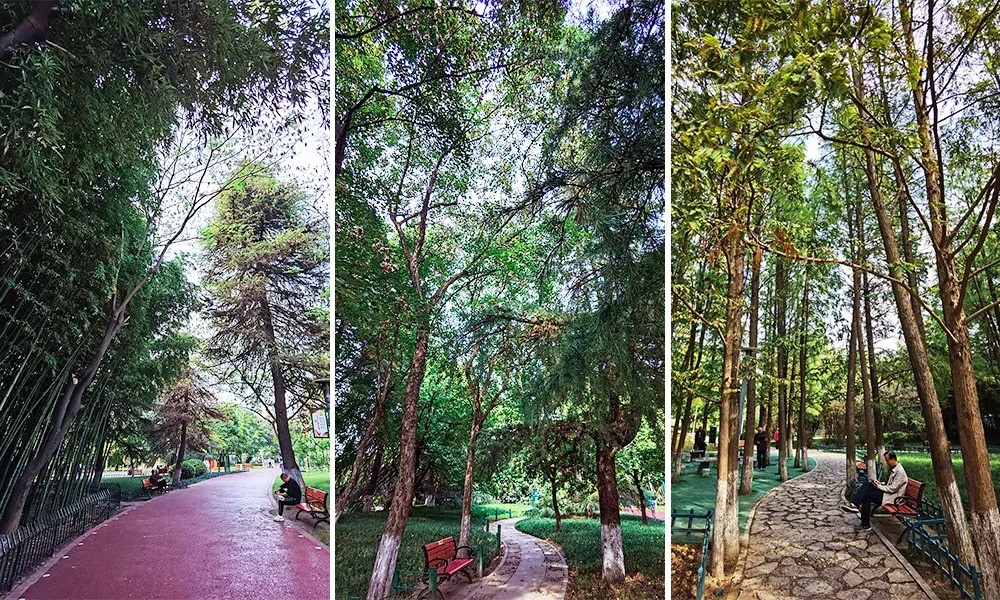 640 (3).jpg undefined