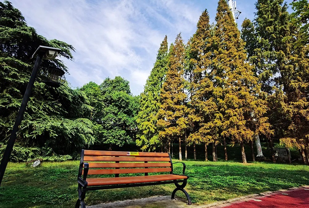 640 (4).jpg undefined