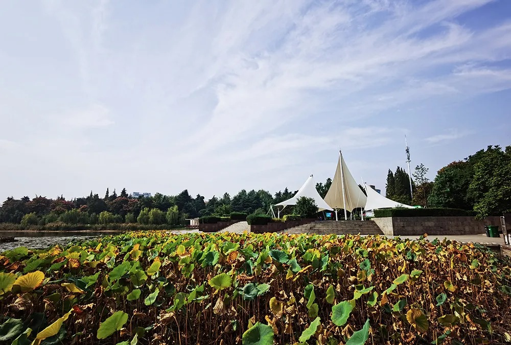 640 (5).jpg undefined