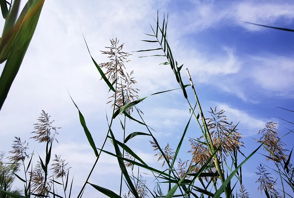 640 (6).jpg undefined