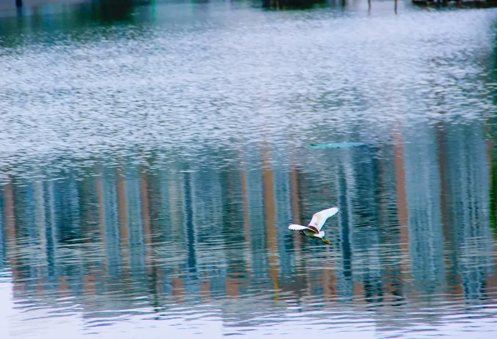 640 (8).jpg undefined