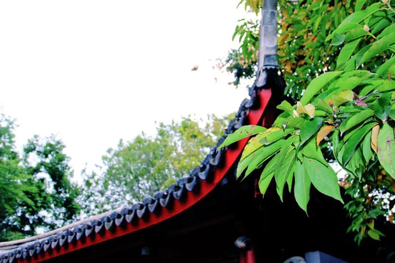 640 (11).jpg undefined