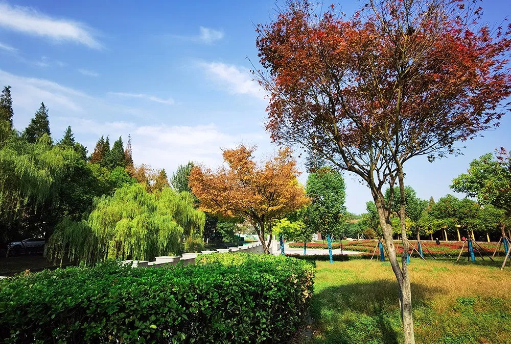 640 (12).jpg undefined