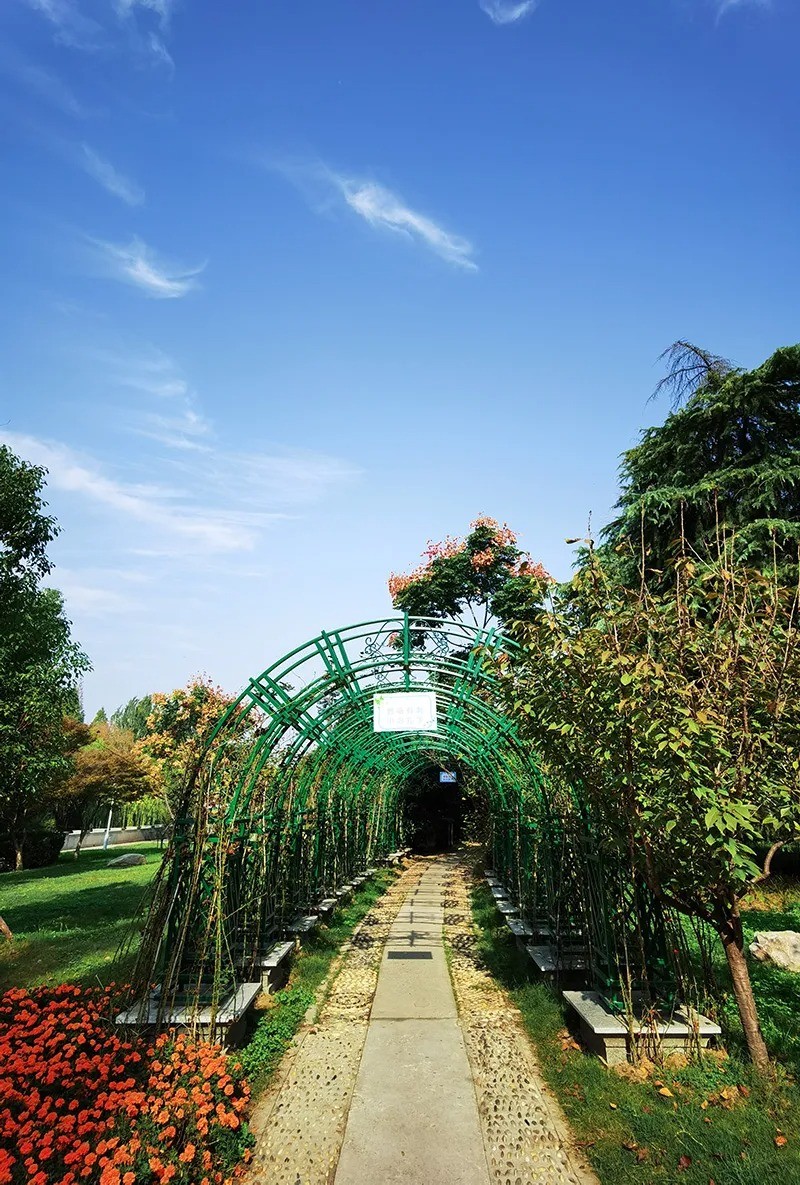 640 (14).jpg undefined