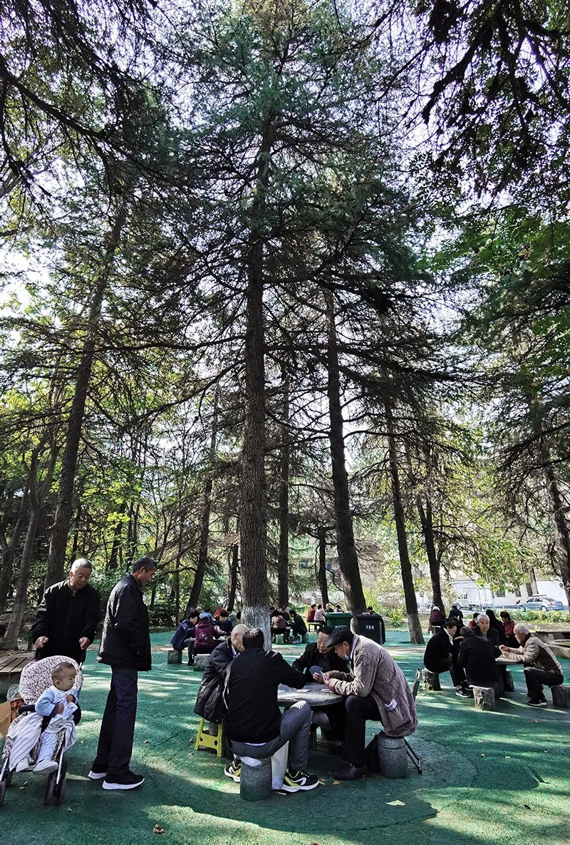 640 (15).jpg undefined