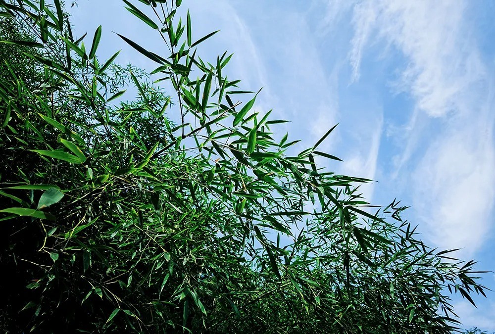 640 (20).jpg undefined