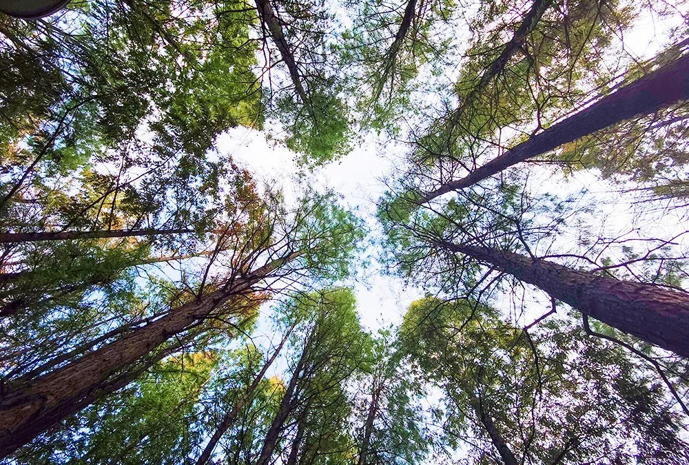 640 (21).jpg undefined